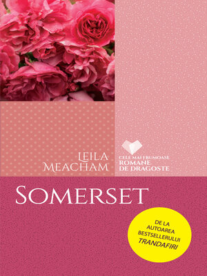 cover image of Somerset